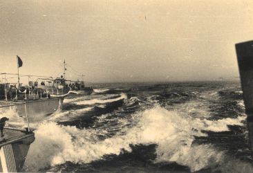 dragamine_1 ancona 1951.jpg